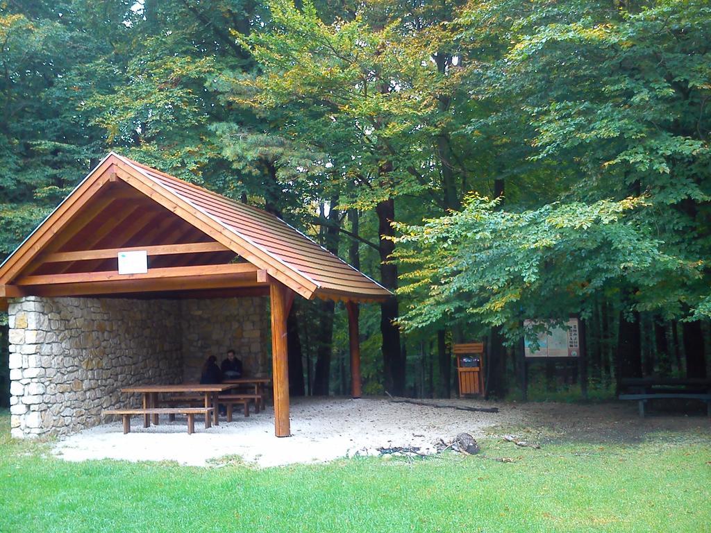 Judit Apartman Vonyarcvashegy Exterior foto